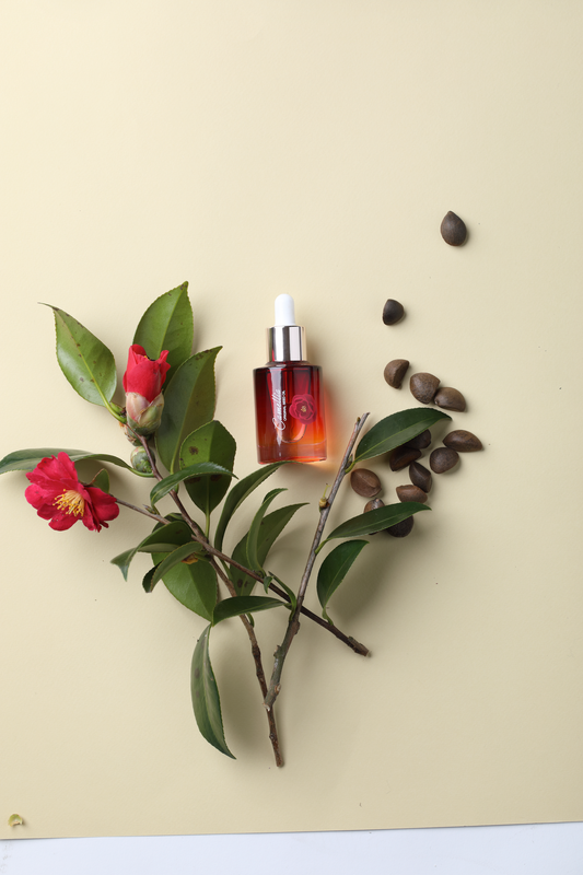 JEJUINDI Camellia Original Seed Oil