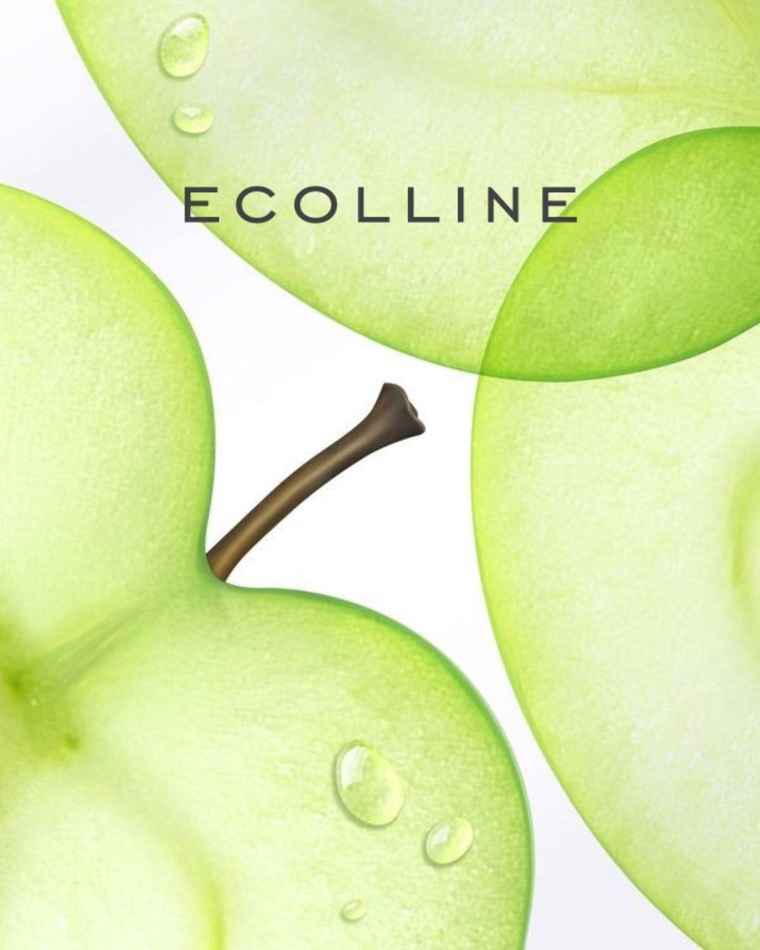 ECOLLINE AppleWash Gel Cleanser