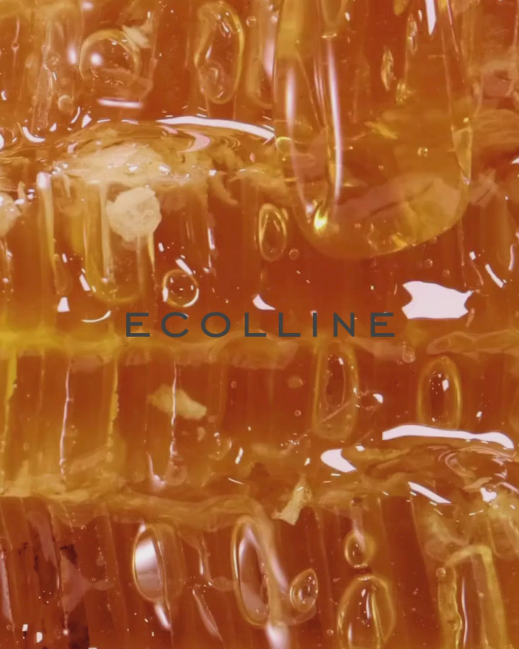 ECOLLINE Manuka Marula Balancing Toner