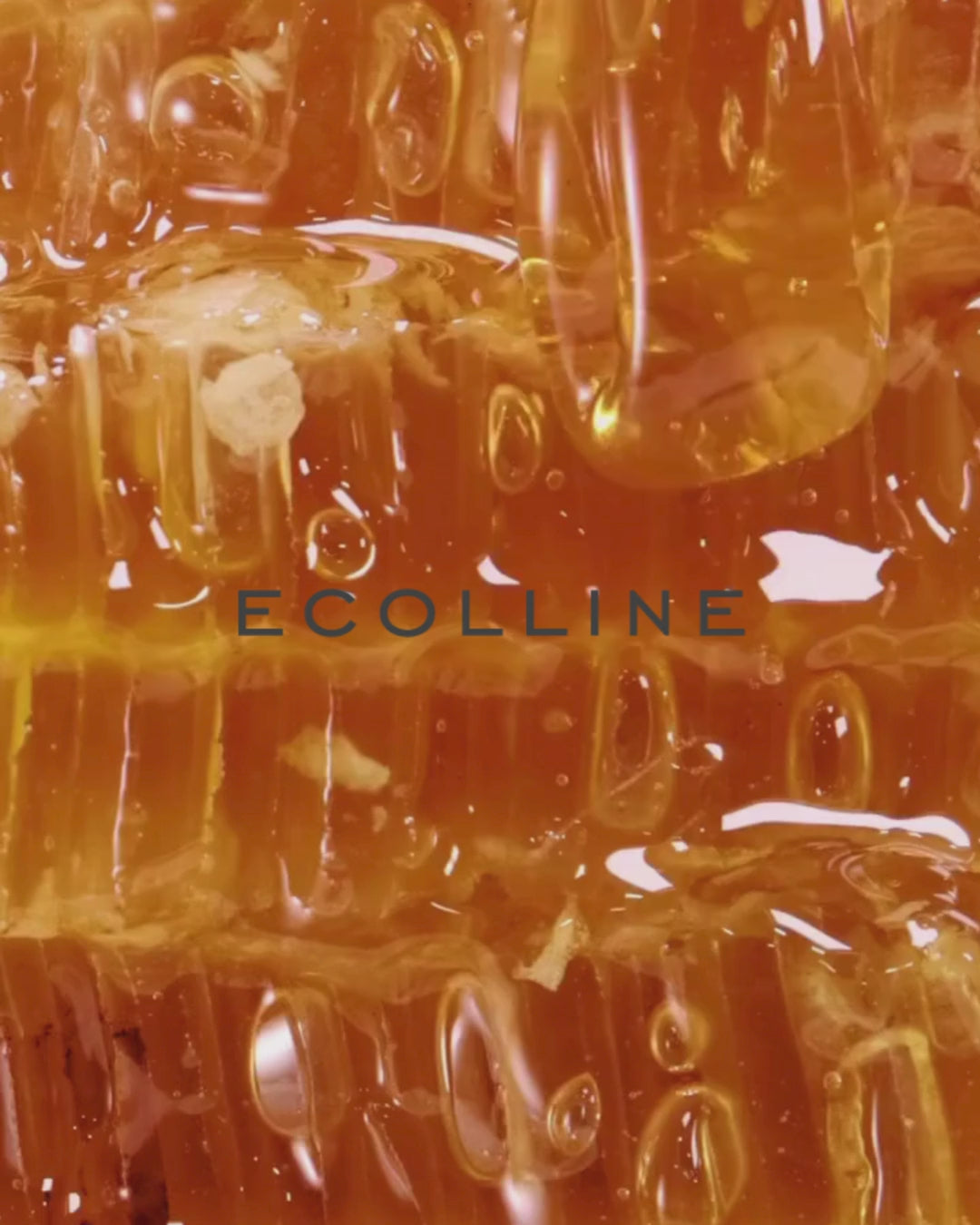 ECOLLINE Manuka Marula Balancing Toner